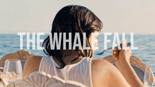 The whale fall